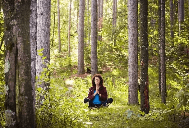 Tajali meditating in a sunlit forest